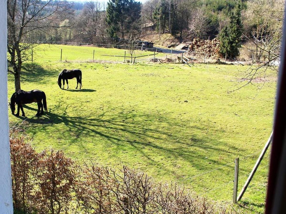 Ferienwohnung Peitz Eslohe Zewnętrze zdjęcie