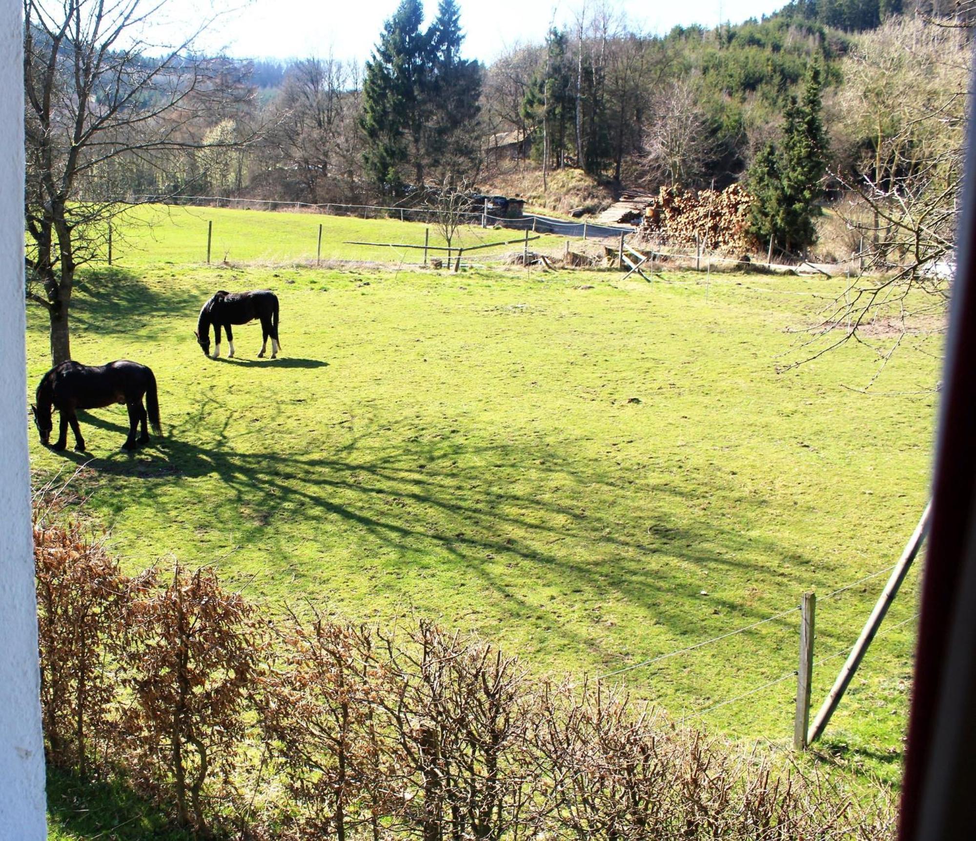 Ferienwohnung Peitz Eslohe Zewnętrze zdjęcie